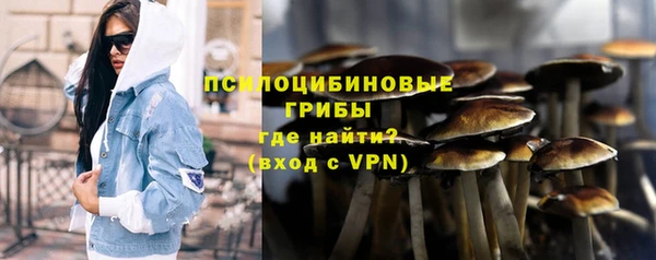 Альфа ПВП Алзамай